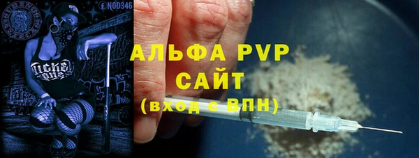 ECSTASY Белокуриха