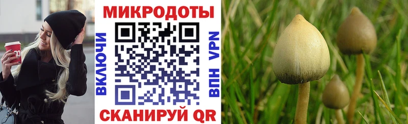 Псилоцибиновые грибы Magic Shrooms  наркотики  Ишим 